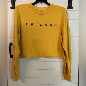 FRIENDS The TV Series Crop